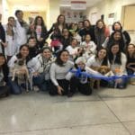 cães