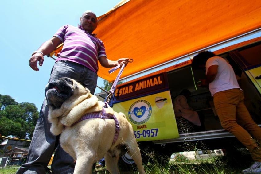 castramóvel