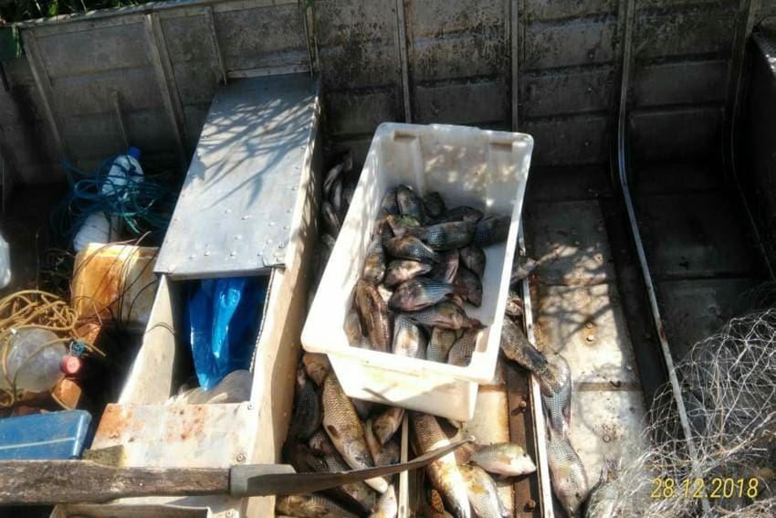 pesca