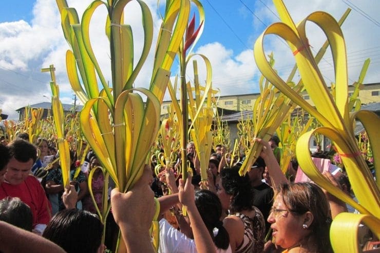 domingo de ramos