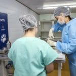 castração de animais