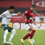 jogadores do flamengo e do palmeiras