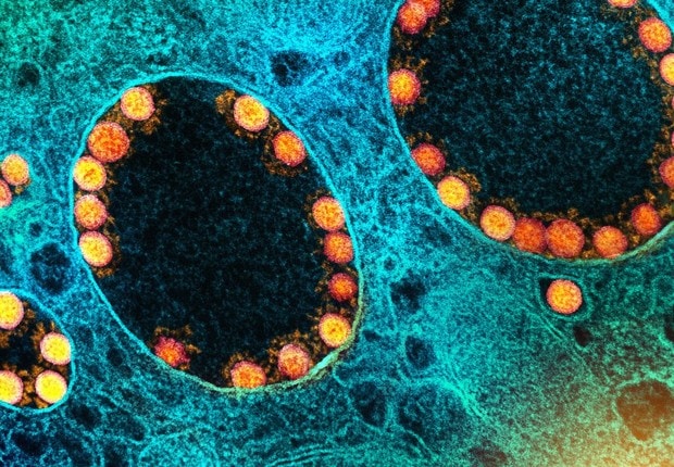 ômicron