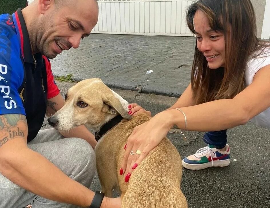 cachorra pandora e seu dono