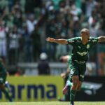 palmeiras