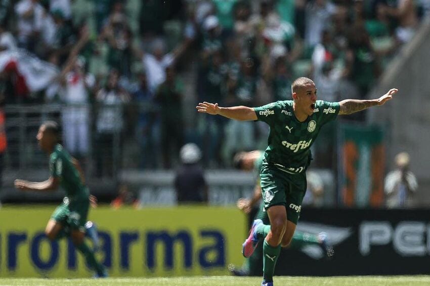 palmeiras