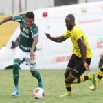 jogadores do palmeiras e do são Bernardo