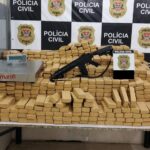 drogas apreendidas pela polícia