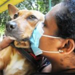 cão adotado em feira