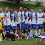 Jogadores do Santo André em campo com cães