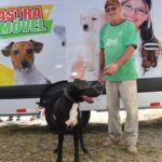castramóvel de ribeirão pires