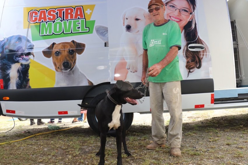 castramóvel de ribeirão pires
