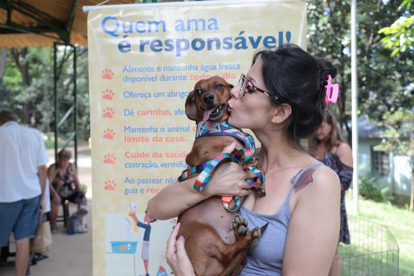 cachorro adotado