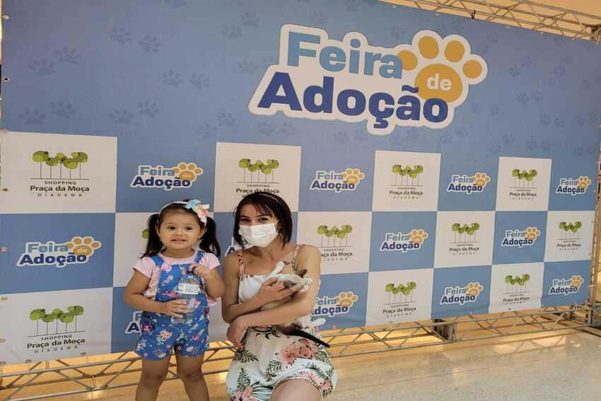 feira de adoção de animais de diadema