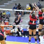 equipe de volei de são caetano