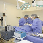 cirurgia de mama