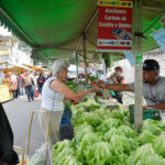 feira livre