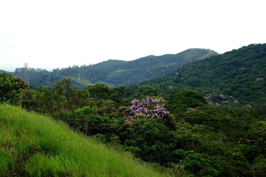 Parque Pedroso de Santo André