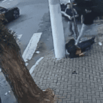 empresário preso