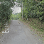 Estrada Ribeirão do Soldado