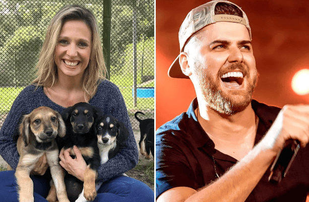 luisa mel e zé neto