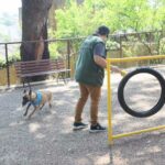 pet parque