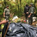 prisão de homem com palmito