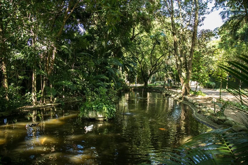 escola de ecologia de São Caetano