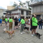animais no centro de ribeirão pires