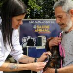 castração de cachorro em São Caetano