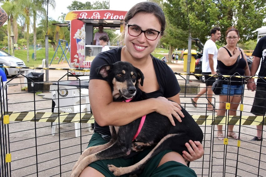 cão