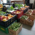 alimentos