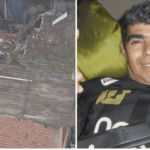 árvore caída e vítima