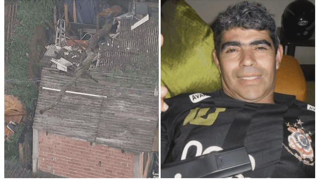 árvore caída e vítima