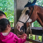 criança ao lado de cavalo