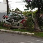 carro colide com coqueiro