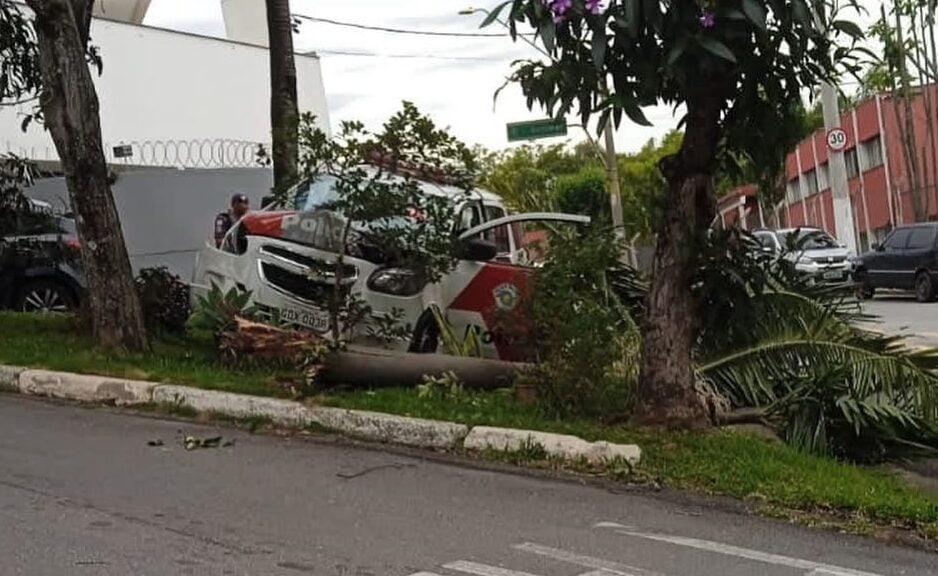carro colide com coqueiro