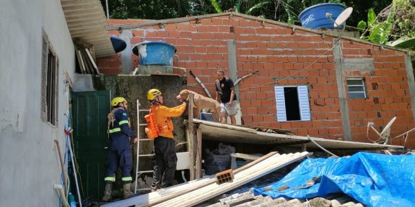 resgate de animais em residência