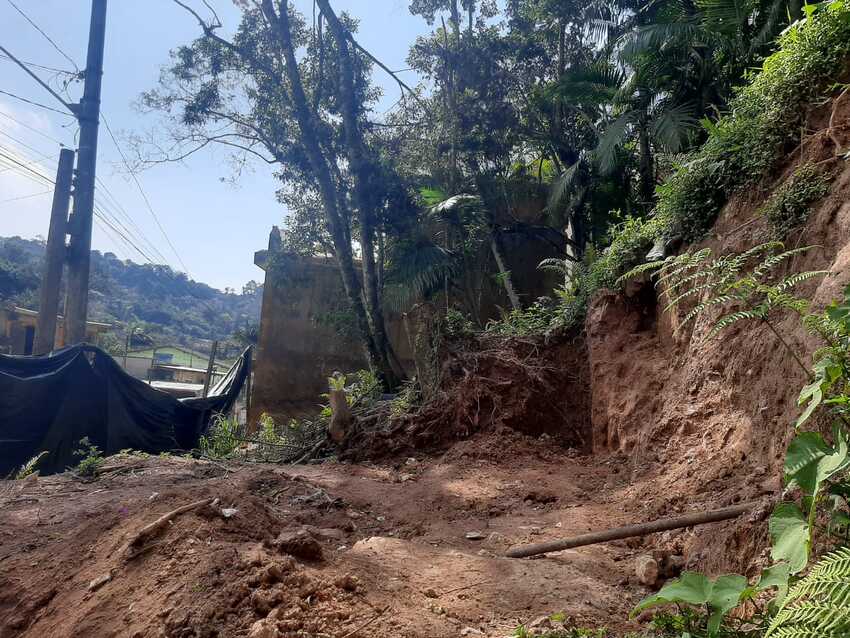 corte de árvore e movimentação de terra irregulares