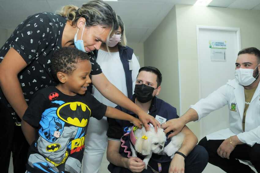cães no hospital