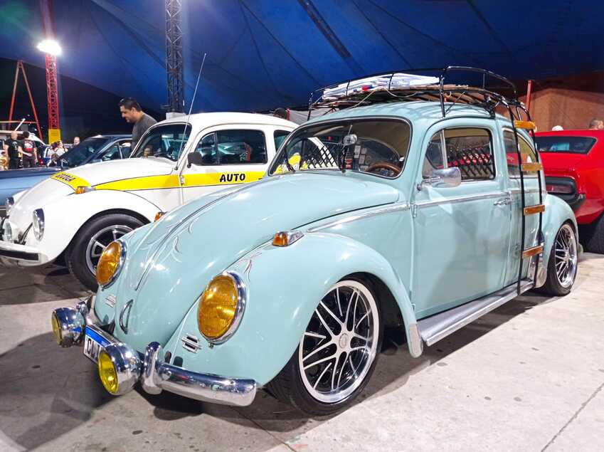 fuscas
