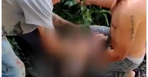 bebê abandonado em mata