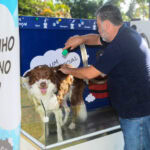 banho para pets nos parques.