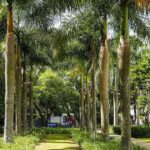 área verde do bairro Cerâmica