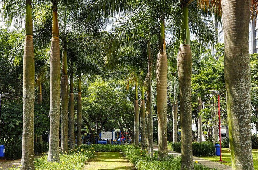 área verde do bairro Cerâmica