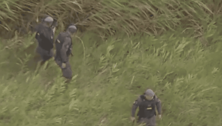 Policiais em região de mata