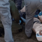 policial ferido na perna