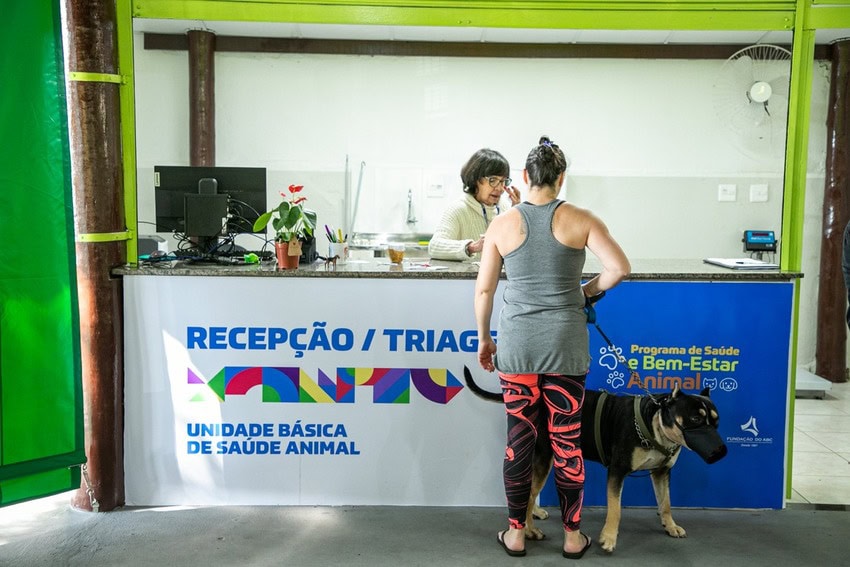 cão na Ubasa