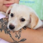 Cachorro no colo de mulher