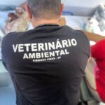 Veterinário